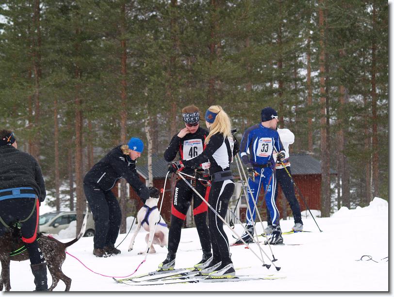 Nästa bild